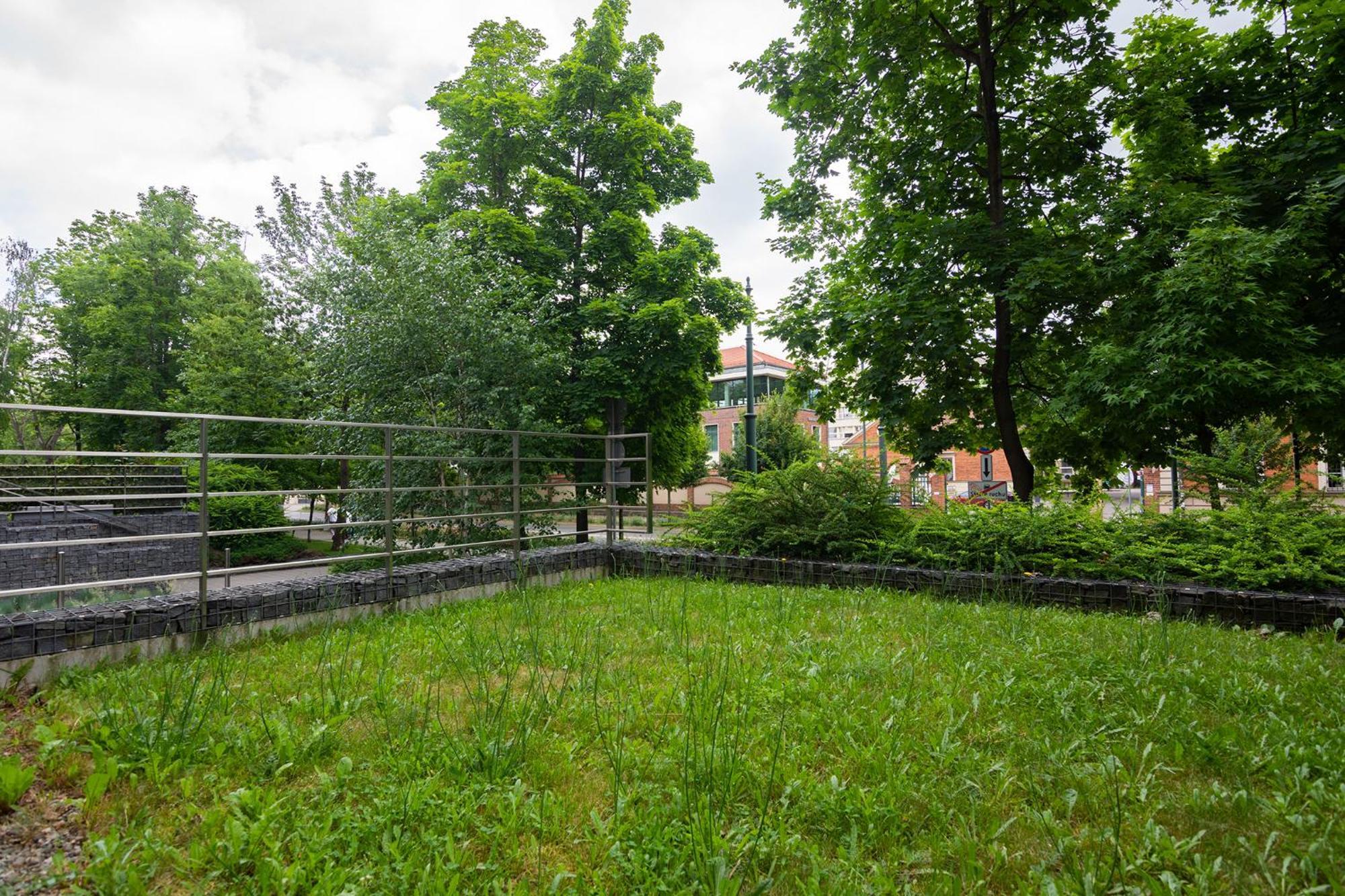 Nearto Old Town Rakowicka